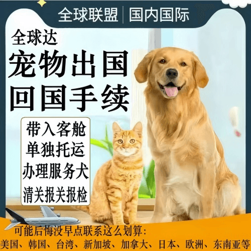 青岛市宠物托运到柬埔寨宠物入境规定和要求