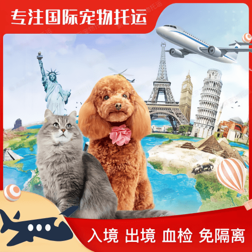 青岛市宠物托运到美国宠物入境最新规定和要求